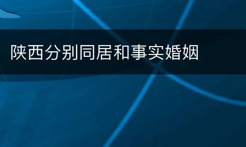 陕西分别同居和事实婚姻