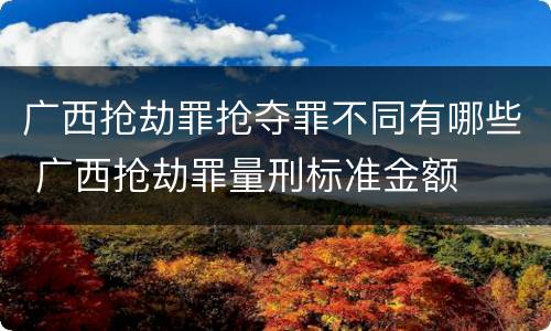 广西抢劫罪抢夺罪不同有哪些 广西抢劫罪量刑标准金额