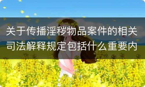 关于传播淫秽物品案件的相关司法解释规定包括什么重要内容