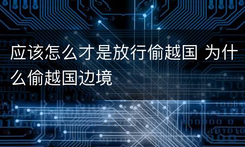 应该怎么才是放行偷越国 为什么偷越国边境