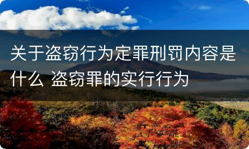 关于盗窃行为定罪刑罚内容是什么 盗窃罪的实行行为