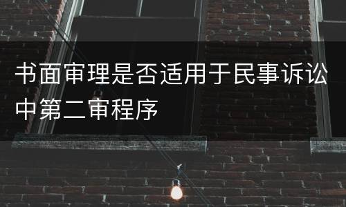 书面审理是否适用于民事诉讼中第二审程序