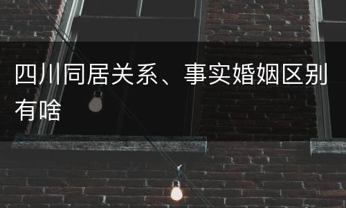 四川同居关系、事实婚姻区别有啥