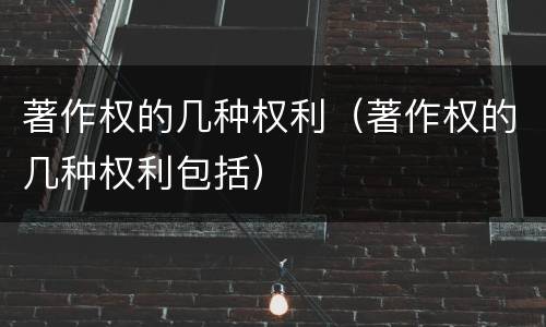 著作权的几种权利（著作权的几种权利包括）