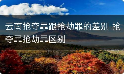 云南抢夺罪跟抢劫罪的差别 抢夺罪抢劫罪区别