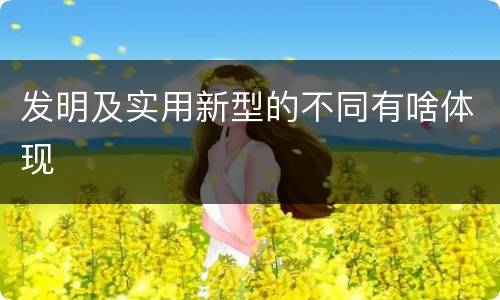 发明及实用新型的不同有啥体现