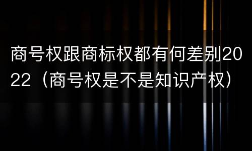商号权跟商标权都有何差别2022（商号权是不是知识产权）