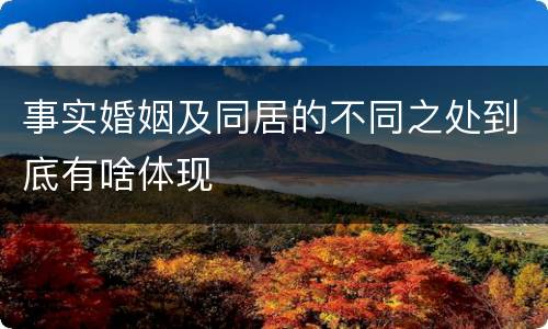 事实婚姻及同居的不同之处到底有啥体现