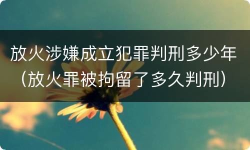 放火涉嫌成立犯罪判刑多少年（放火罪被拘留了多久判刑）