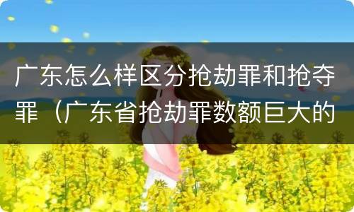 广东怎么样区分抢劫罪和抢夺罪（广东省抢劫罪数额巨大的标准）