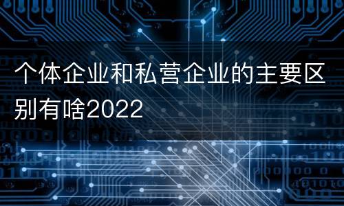 个体企业和私营企业的主要区别有啥2022