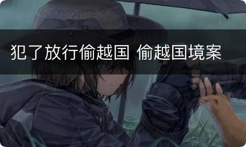 犯了放行偷越国 偷越国境案