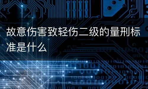 故意伤害致轻伤二级的量刑标准是什么