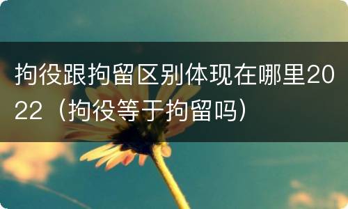 拘役跟拘留区别体现在哪里2022（拘役等于拘留吗）