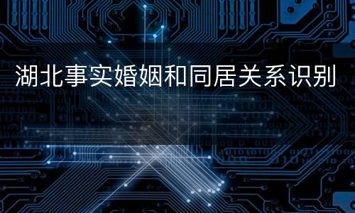 湖北事实婚姻和同居关系识别