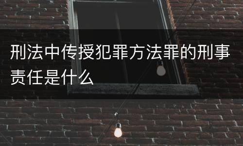 刑法中传授犯罪方法罪的刑事责任是什么