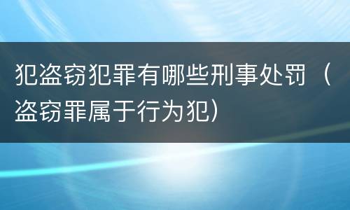 犯盗窃犯罪有哪些刑事处罚（盗窃罪属于行为犯）