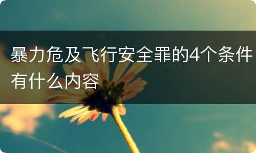 暴力危及飞行安全罪的4个条件有什么内容