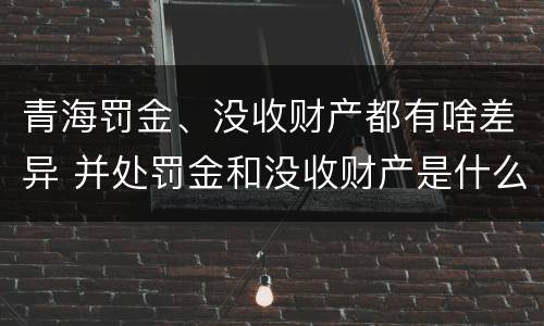 青海罚金、没收财产都有啥差异 并处罚金和没收财产是什么意思