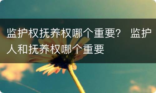 监护权抚养权哪个重要？ 监护人和抚养权哪个重要
