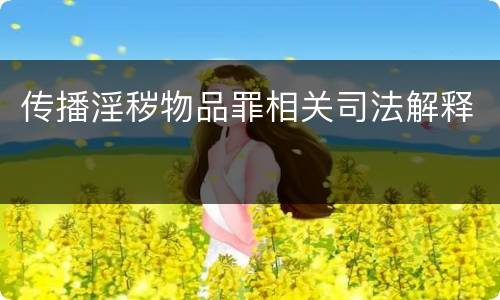 传播淫秽物品罪相关司法解释