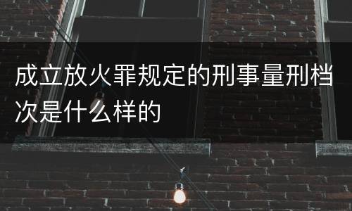 成立放火罪规定的刑事量刑档次是什么样的