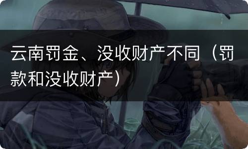云南罚金、没收财产不同（罚款和没收财产）