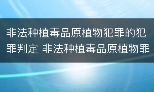 非法种植毒品原植物犯罪的犯罪判定 非法种植毒品原植物罪量刑