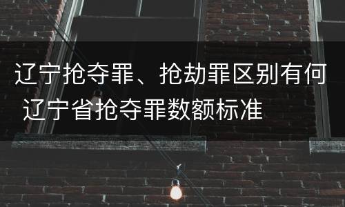 辽宁抢夺罪、抢劫罪区别有何 辽宁省抢夺罪数额标准