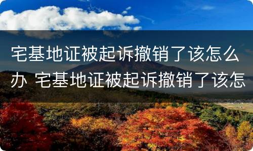 宅基地证被起诉撤销了该怎么办 宅基地证被起诉撤销了该怎么办呢