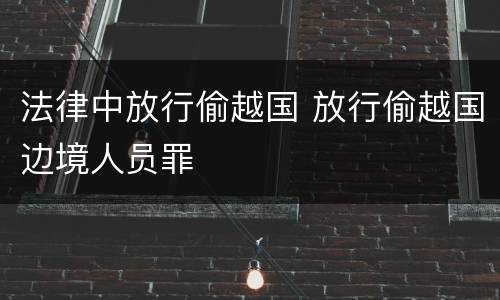 法律中放行偷越国 放行偷越国边境人员罪