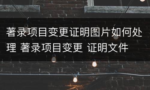 著录项目变更证明图片如何处理 著录项目变更 证明文件
