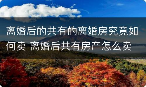 离婚后的共有的离婚房究竟如何卖 离婚后共有房产怎么卖