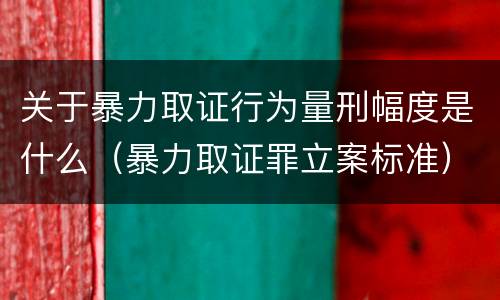 关于暴力取证行为量刑幅度是什么（暴力取证罪立案标准）