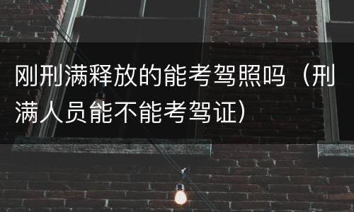 刚刑满释放的能考驾照吗（刑满人员能不能考驾证）