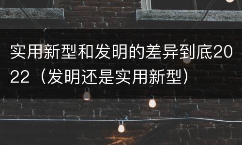 实用新型和发明的差异到底2022（发明还是实用新型）