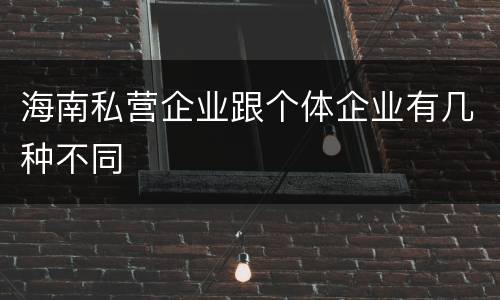 海南私营企业跟个体企业有几种不同