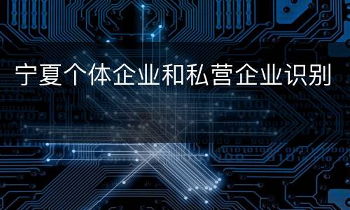 宁夏个体企业和私营企业识别