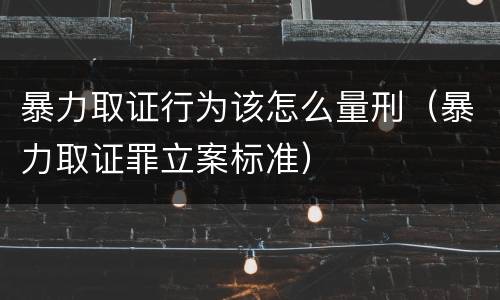 暴力取证行为该怎么量刑（暴力取证罪立案标准）