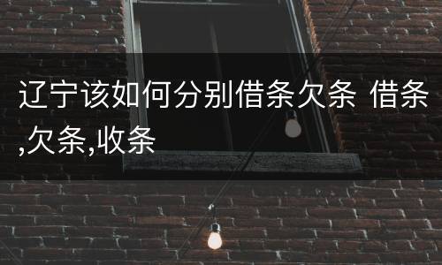 辽宁该如何分别借条欠条 借条,欠条,收条