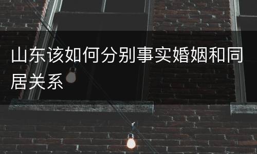 山东该如何分别事实婚姻和同居关系