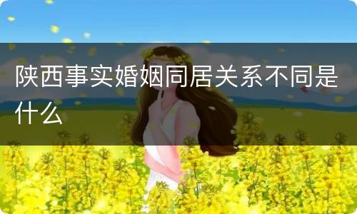 陕西事实婚姻同居关系不同是什么
