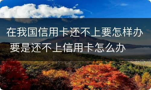 在我国信用卡还不上要怎样办 要是还不上信用卡怎么办