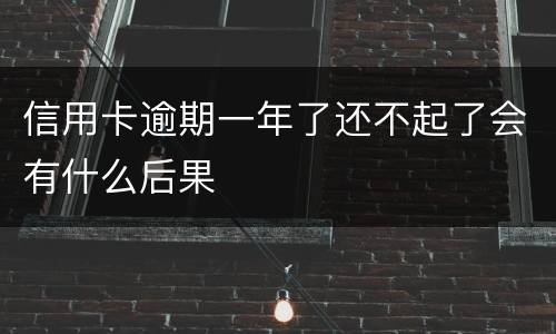 信用卡逾期一年了还不起了会有什么后果