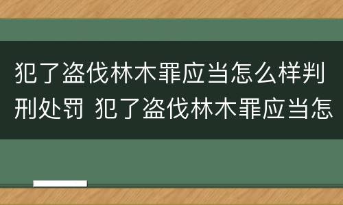 犯了盗伐林木罪应当怎么样判刑处罚 犯了盗伐林木罪应当怎么样判刑处罚决定书