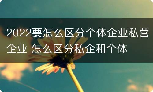 2022要怎么区分个体企业私营企业 怎么区分私企和个体
