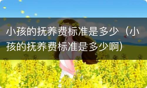 小孩的抚养费标准是多少（小孩的抚养费标准是多少啊）