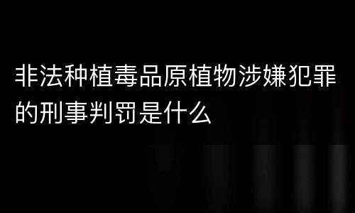 非法种植毒品原植物涉嫌犯罪的刑事判罚是什么