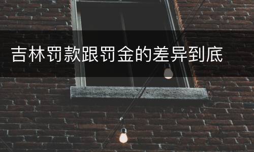 吉林罚款跟罚金的差异到底