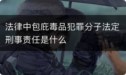 法律中包庇毒品犯罪分子法定刑事责任是什么